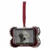 Outlet 🤩 Metallic Ornaments Northlight Regal Shiny Silver Plated Red Best Dog Bone Picture Ornament With European Crystals 👍 -Christmas Ornaments Shop masterGORD2975