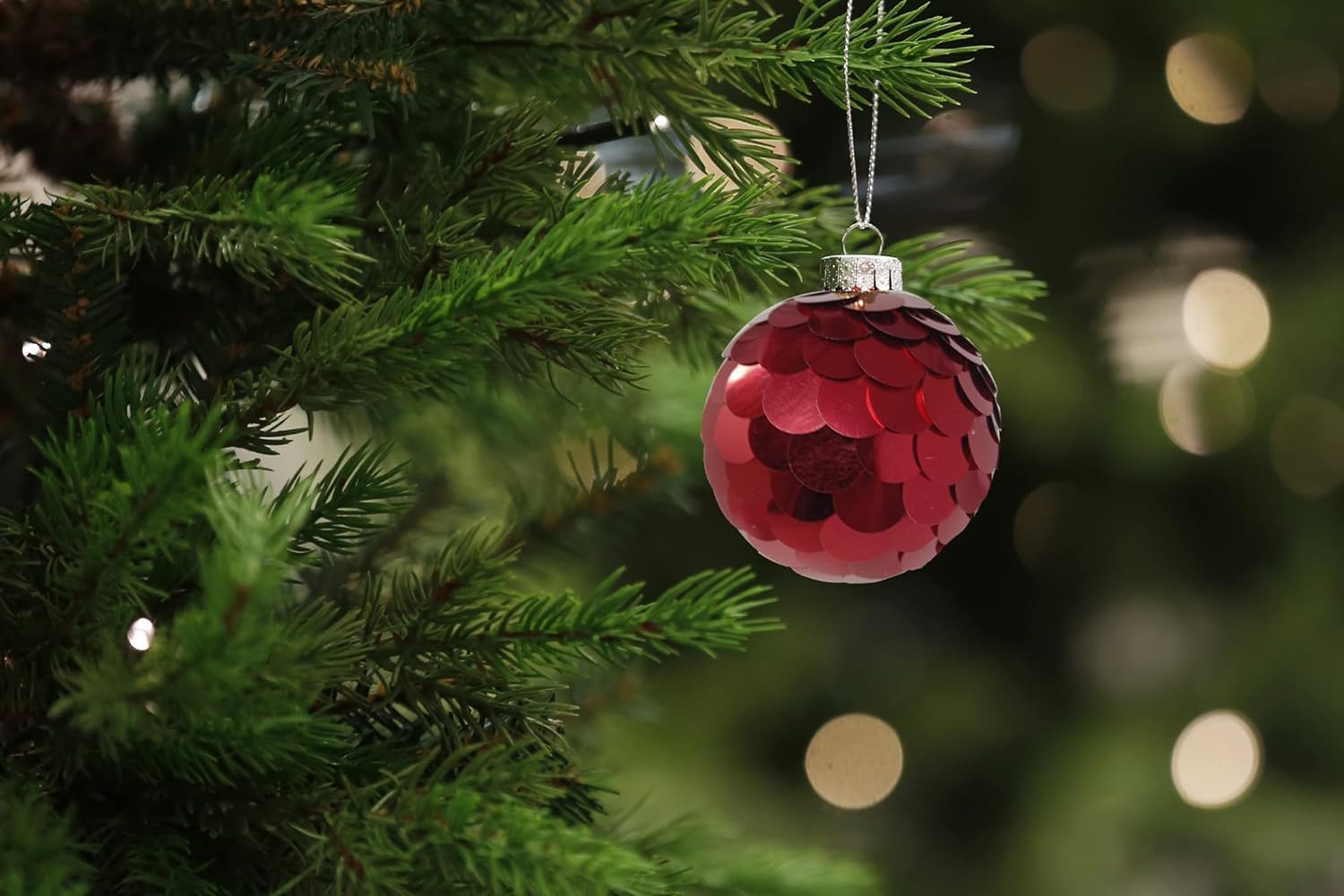 Christmas Ornaments Shop 12 Christmas Ornaments Shop -Christmas Ornaments Shop 61NIOJBtPBL